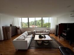 Nassim Regency (D10), Condominium #607353811